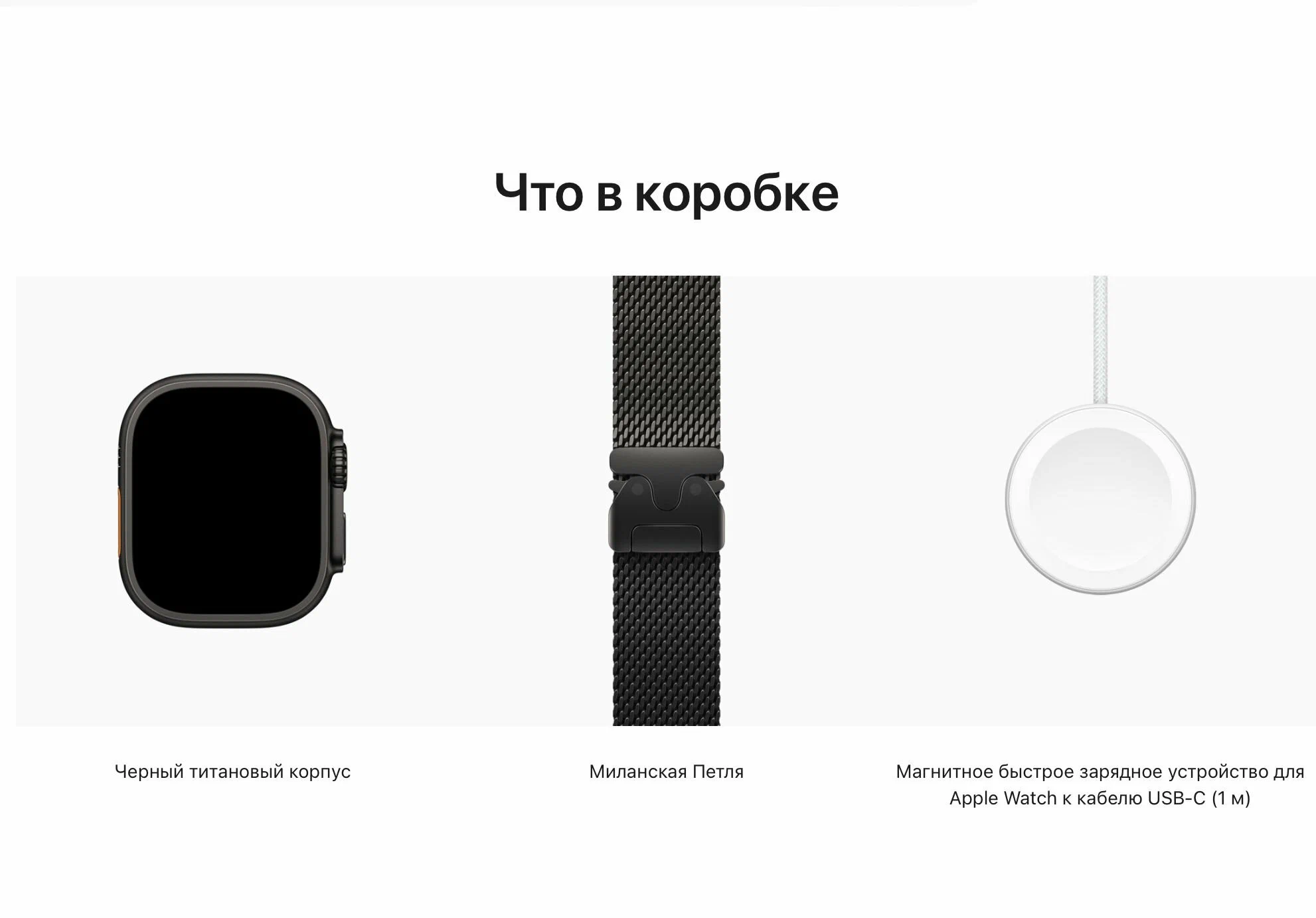 Умные часы Apple Watch Ultra 2 (2024) Black Titanium Black Milanese Loop M MX5U3 - детальное фото | iComp